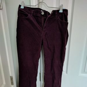 Purple Loft corduroys modern straight style